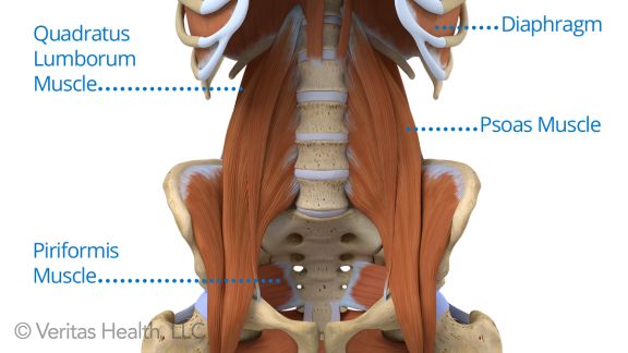 Be Kind to Your Psoas