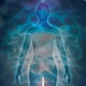 InBody