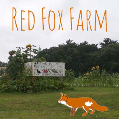 Red Fox Farm