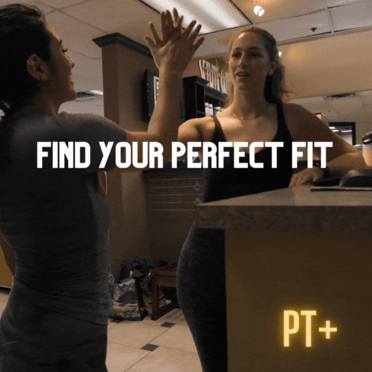 Festive Fitness Vibes with Tasha - Fitness Incentive